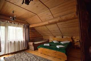 Гостевой дом Drin-lux Славское Двухместный номер с 1 кроватью и видом на горы-2